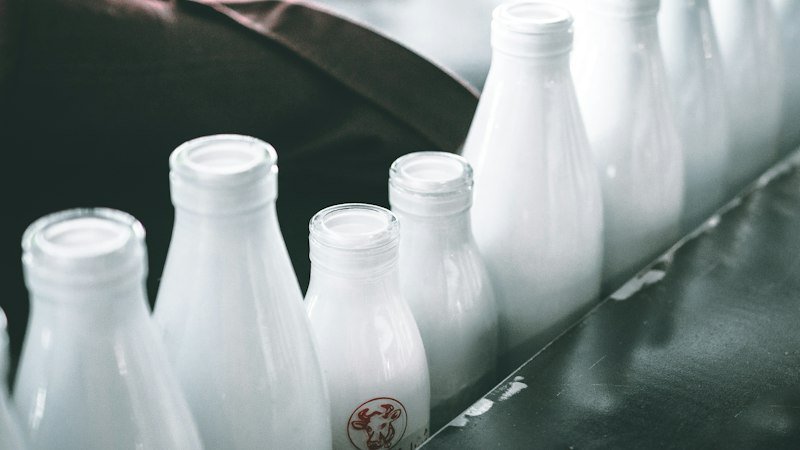Dairy & Food Processing